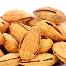 [样品采购]淘宝代销NP薄壳巴旦木壳杏仁250g/包坚果干果批发