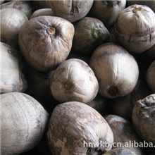 供应海南产水果老椰子、拨皮老椰子，抛光椰子