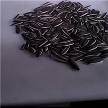 质量最好的葵花品种7105