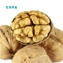 新疆核桃批发185新疆纸皮核桃阿克苏纸皮核桃增强记忆厂家直销