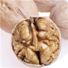 特级薄皮核桃特级新二薄皮核桃特级精选新二薄皮核桃厂家直销