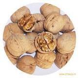 阿克苏纸皮核桃185核桃新疆特产广州巨鹰温185新疆核桃