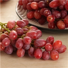 加州进口红提，提子