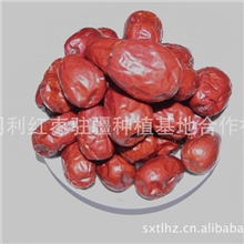 Y4产地直销新疆和田枣f和田玉枣四星二级新疆骏枣15835879850