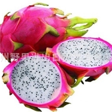 进口新鲜水果越南火龙果白肉水果
