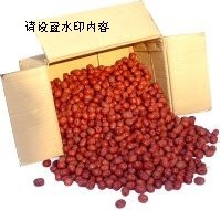 实地认证企业诚信商家沧州红枣金丝小枣无核红枣子沧州特产批发