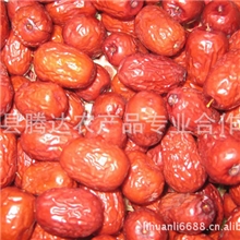 实地认证诚信商家沧州红枣金丝小枣中枣枣子产地直销大量上市