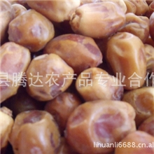 实地认证厂家诚信商家批发椰枣蜜枣伊拉克枣进口新疆椰枣干干果