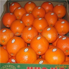 2013新上市特级赣南脐橙出口品质纽贺尔----赣南主栽品种