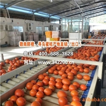 江西脐橙即将上市，欢迎国内外客商采购合作出口超市直供