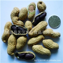 产地批发黑花生带壳原味黑花生干货黑皮白仁2013新花生上市