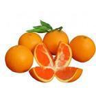 现场定价数量200万斤特早熟蜜桔