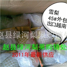 长期供应河北赵县60#雪梨雪梨雪梨