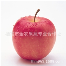 供应优质山东烟台红富士苹果量大从优