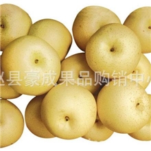 赵县批发残次梨雪花梨皇冠梨冷库梨价格下跌