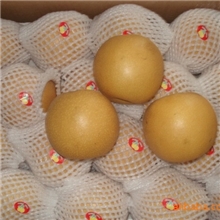 河北省泊头市金沙果品有限公司