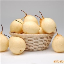 鸭梨/YAPEAR/FRESHPEAR/鲜梨