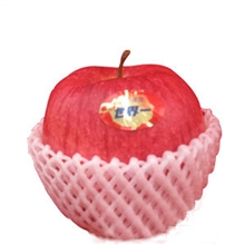 新鲜水果世界一号苹果苹果水果批发