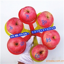 齐樱10斤装七省包邮红富士苹果-苹果,红富士,山东苹果85#