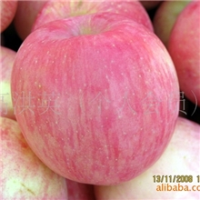 齐樱富士苹果80#-市场价格,批发市场报价一件代发栖霞苹果