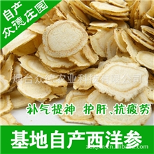 批发零售花旗参片/西洋参中片直径1cm~1.5cm文登基地直供500克