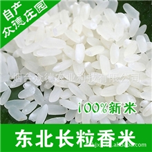 10KG装正宗东北五常大米批发/东北大米批发/五常大米批发
