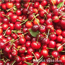 樱桃原产地批发自产樱桃新鲜水果樱桃