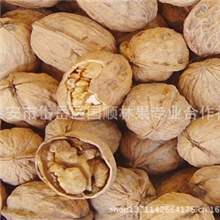 供应批发2013年新货手剥山核桃多吃健脑