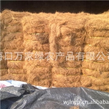 供应椰棕丝
