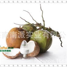 食品原料厂家南派椰浆粉海南椰子生产加工
