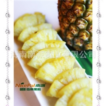 菠萝粉海南菠萝生产加工饮料原料冰淇淋原料
