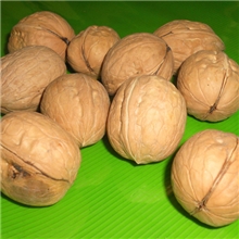 新疆特产薄皮核桃阿克苏33核桃核桃批发13年新核桃干果批发