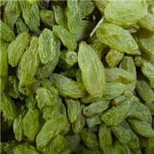 新疆特产无核白绿葡萄干葡萄干批发新疆特产葡萄干新疆干果