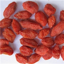 新疆特产新疆精河枸杞新疆枸杞子批发一级枸杞新疆药材