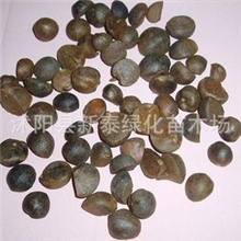 批发供应优质红花油茶种子大果红花油茶花木种子新种子