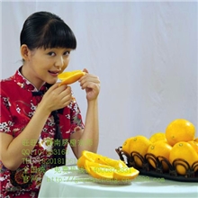 火热预定新鲜水果江西优质赣南纽荷尔脐橙现采现卖