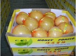 琯溪柚子HONEYPOMELO出口欧盟