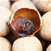 农家桂圆干福建正宗特级6A大桂圆龙眼干优质干桂圆特价