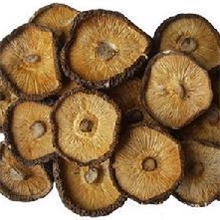 批发黑面菇香菇冬菇金钱菇新品上市特价促销500G起售