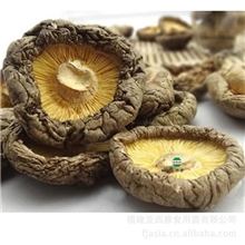 食用菌批发特级香菇椎茸厚菇无根干货250g亚西雅古田