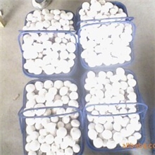 供应新鲜篮子蘑菇