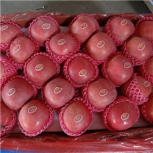 供应13年出口级138-198的红富士苹果(图)
