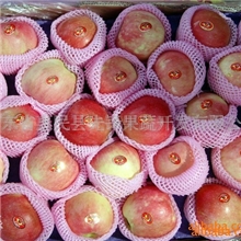 供应2013年新上市出口级红星苹果(图)