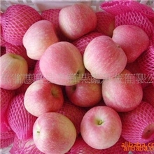 供应2013年新上市138-198红星苹果(图)