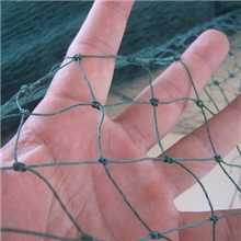 直销小鸡网塑料网养鸡网结实耐用寿命长规格全可定制