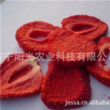 供应速冻草莓片冻干草莓片草莓丁