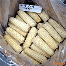 糯玉米批发供应速冻糯玉米批发