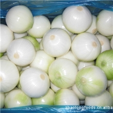 长期供应优质洋葱,大量供应,新鲜洋葱
