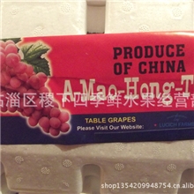 供应商专业批发优质新鲜红提葡萄【图】