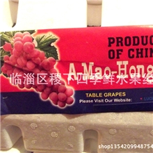 专业供应无公害绿色水果葡萄【图】